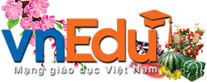 vnedu
